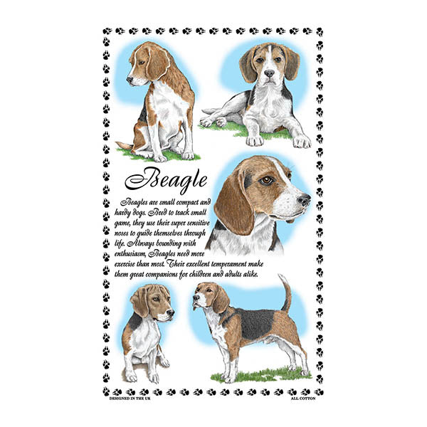 0369 - Beagle Tea Towel