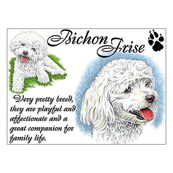0522 - Bichon Frise