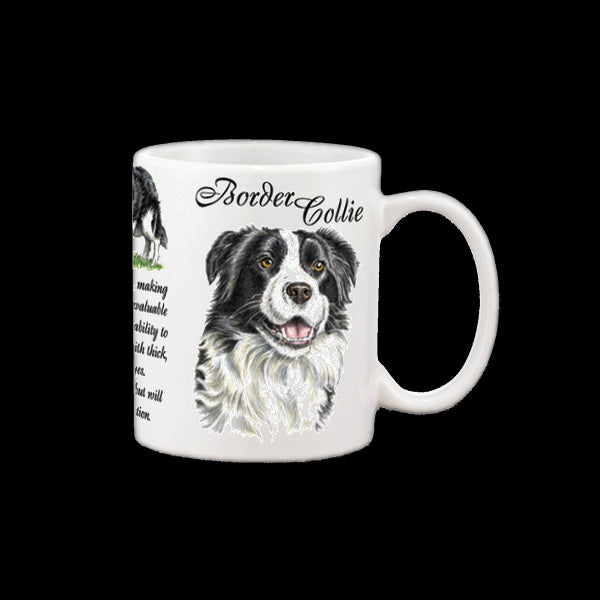 0436 - Border Collie