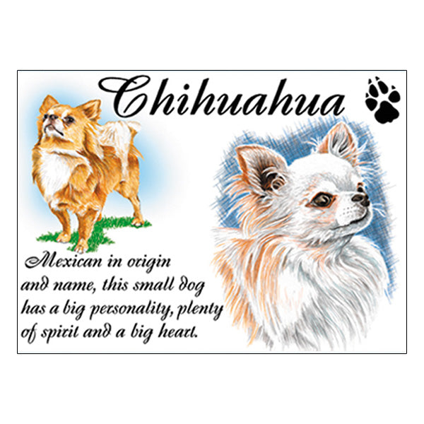 0526 - Chihuahua