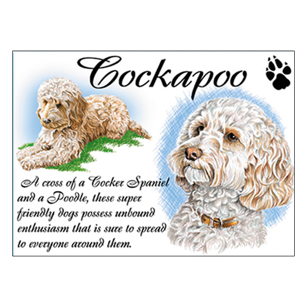 0527 - Cockapoo