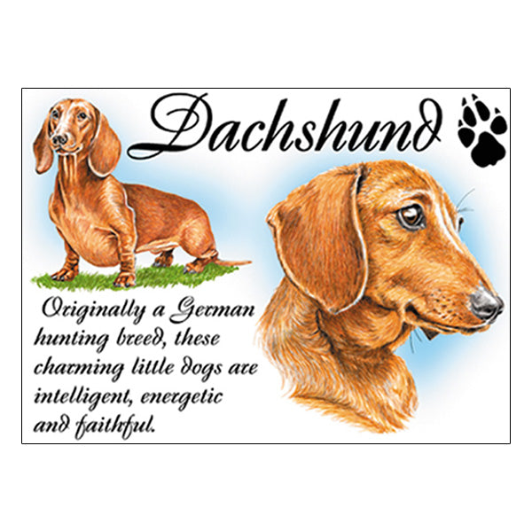 0529 - Dachshund