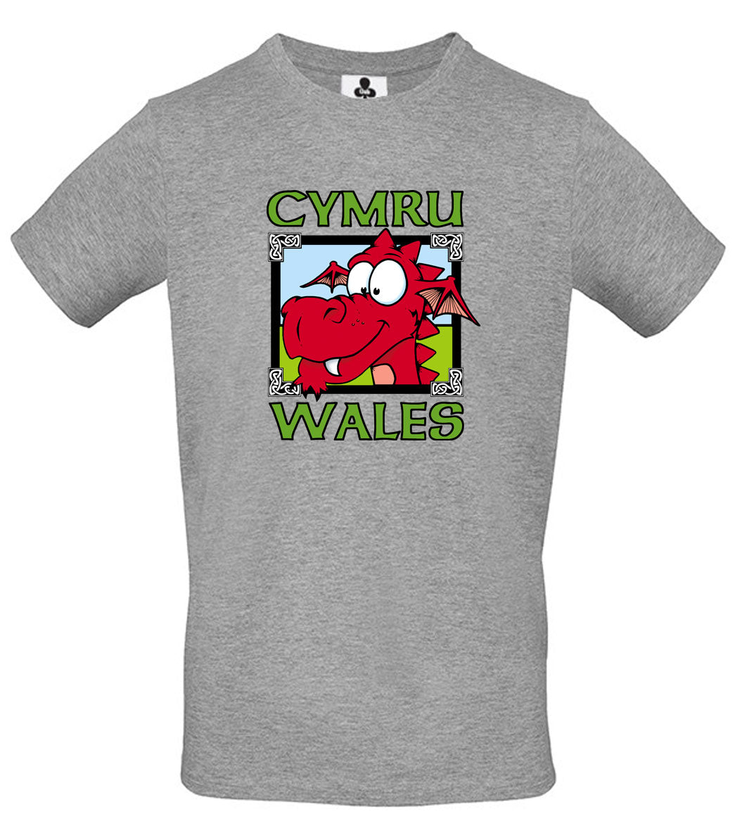 0131 - Dragon Pic (Grey)