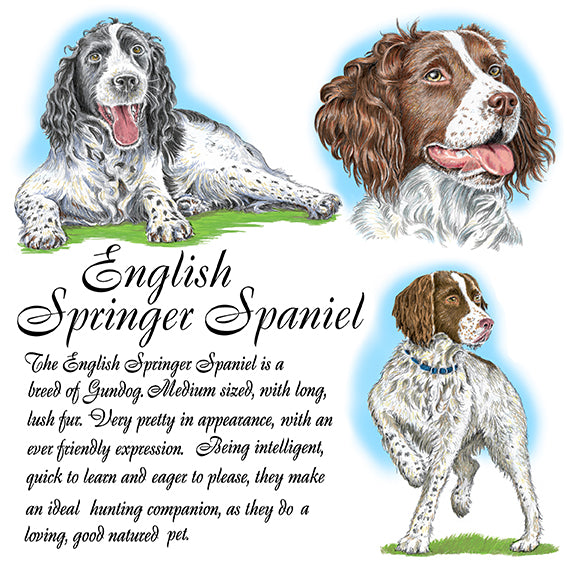 English Springer Spaniel Coaster