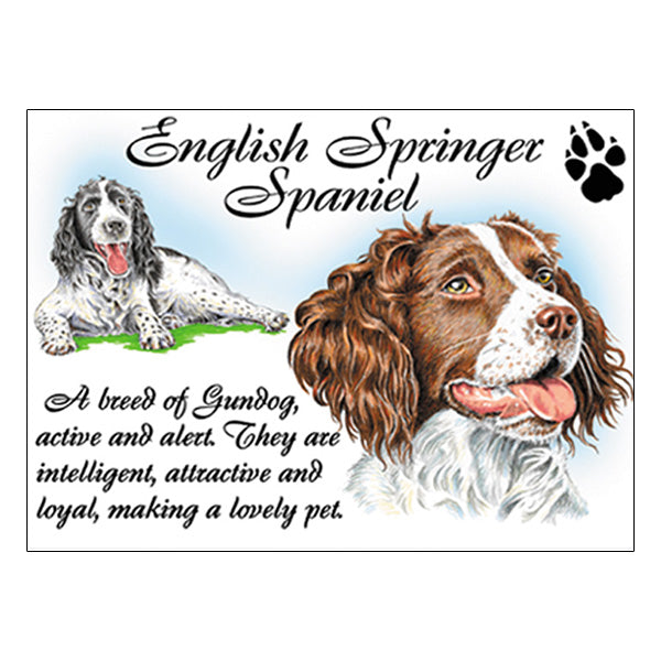 0530 - English Springer Spaniel