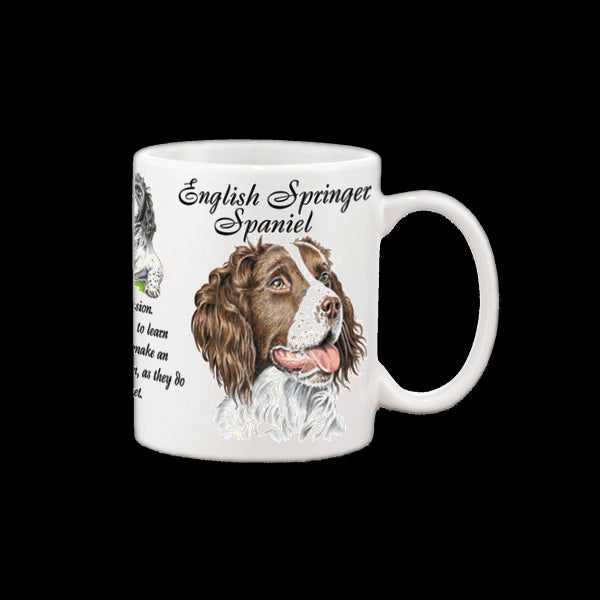0443 - English Springer Spaniel