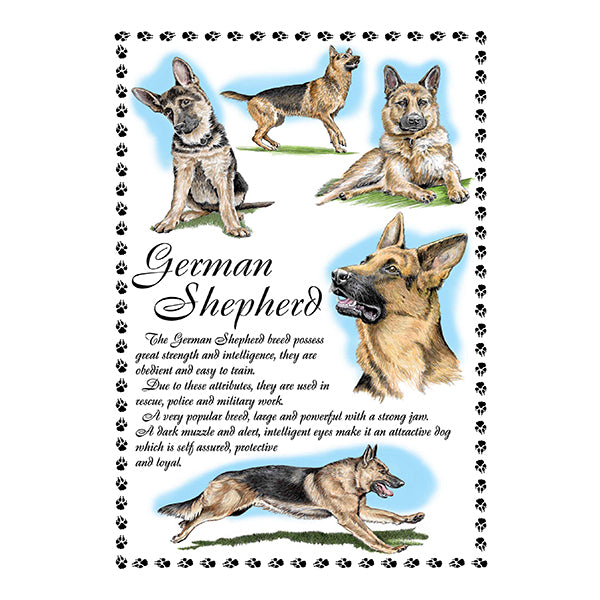 0645 - German Shepherd