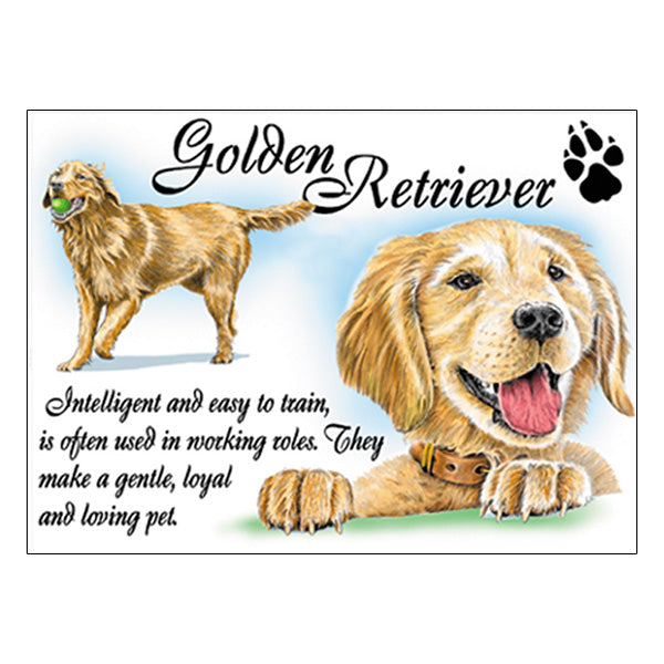0533 - Golden Retriever