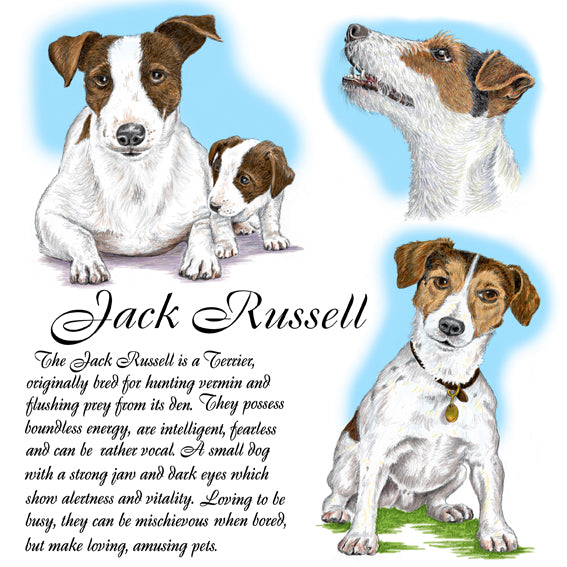 Jack Russell Coaster