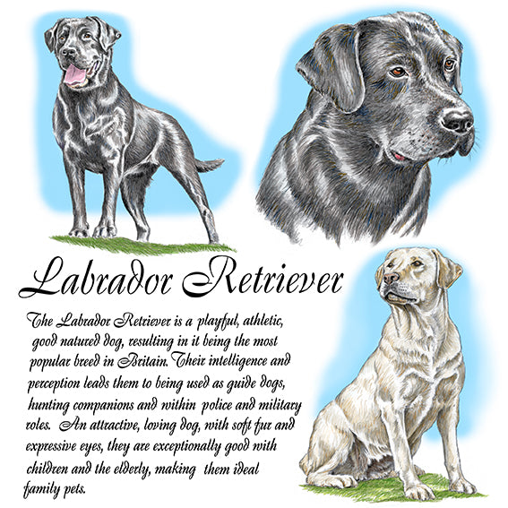 Labrador Retriever Coaster
