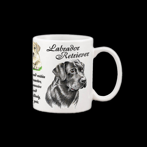 0449 - Labrador Retreiver