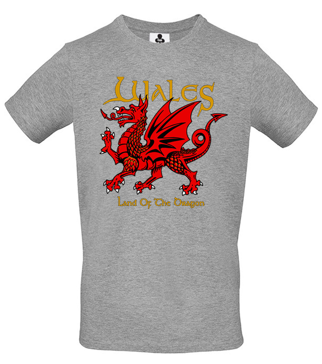 0115 - Land of the Dragon (Grey)
