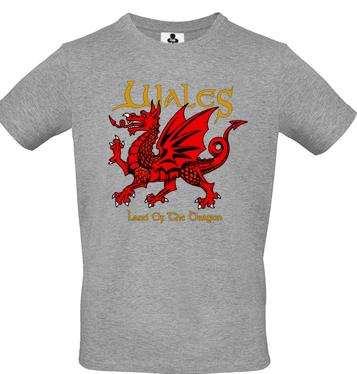 0101 - Land of the Dragon (Grey)