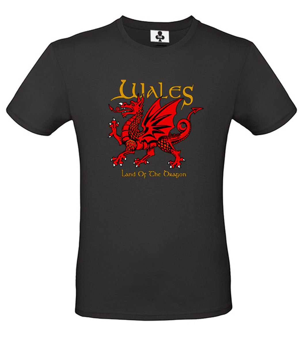 0115 - Land of the Dragon (Black)