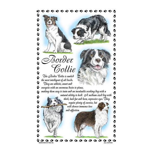0371 - Border Collie Tea Towel