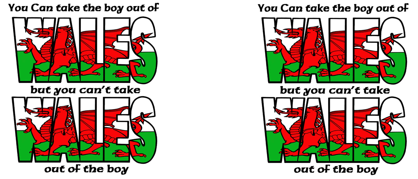 0429 - Boy out of Wales