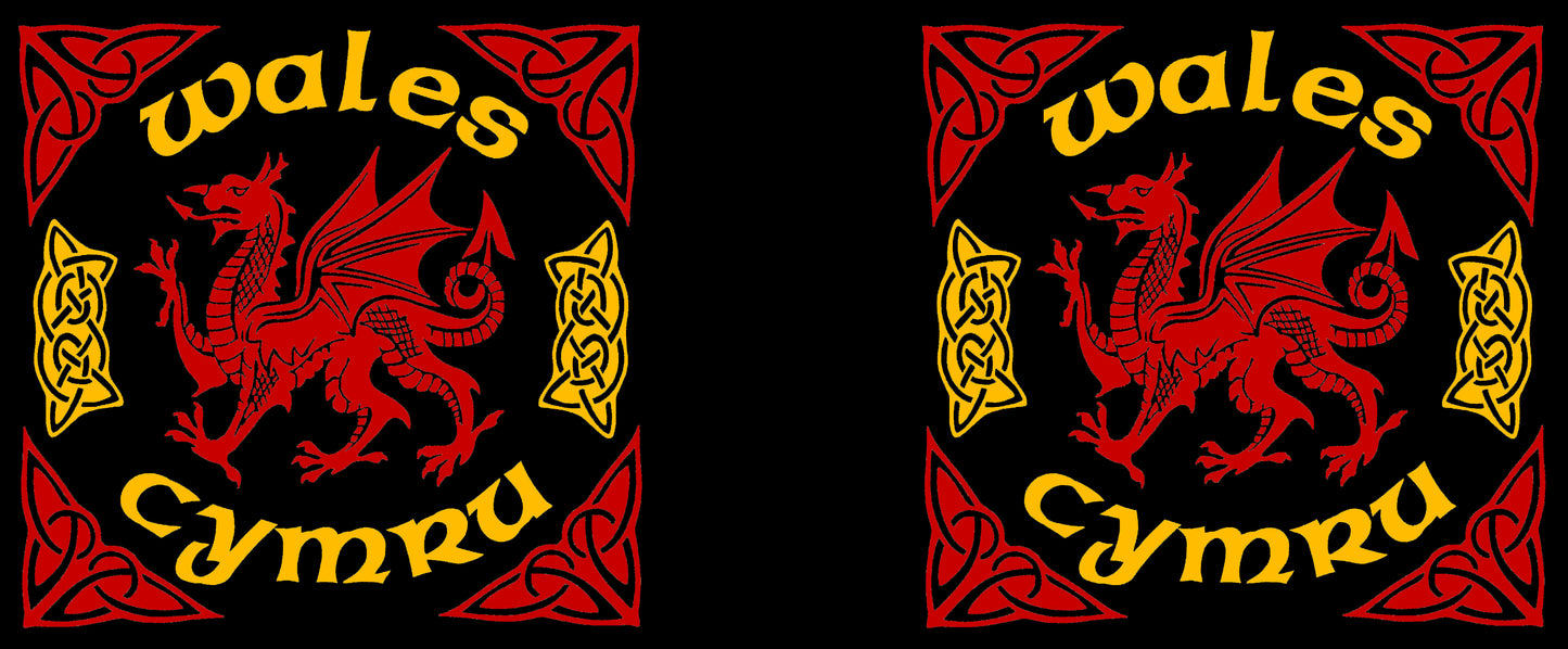 0418 - Celtic Dragon (Black)