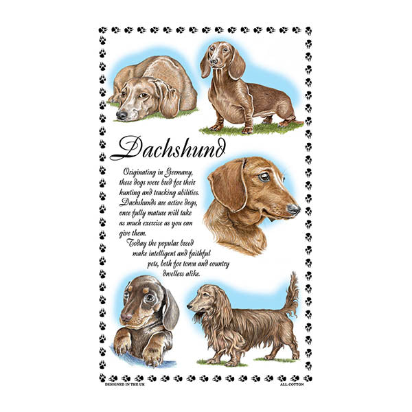 0377 - Dachshund Tea Towel
