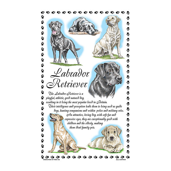 0384 - Labrador Retriever Tea Towel