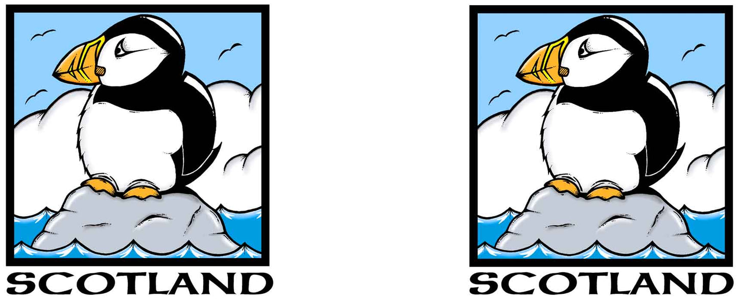 0478 - Scotland Puffin