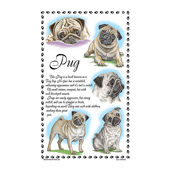 0385 - Pug Tea Towel