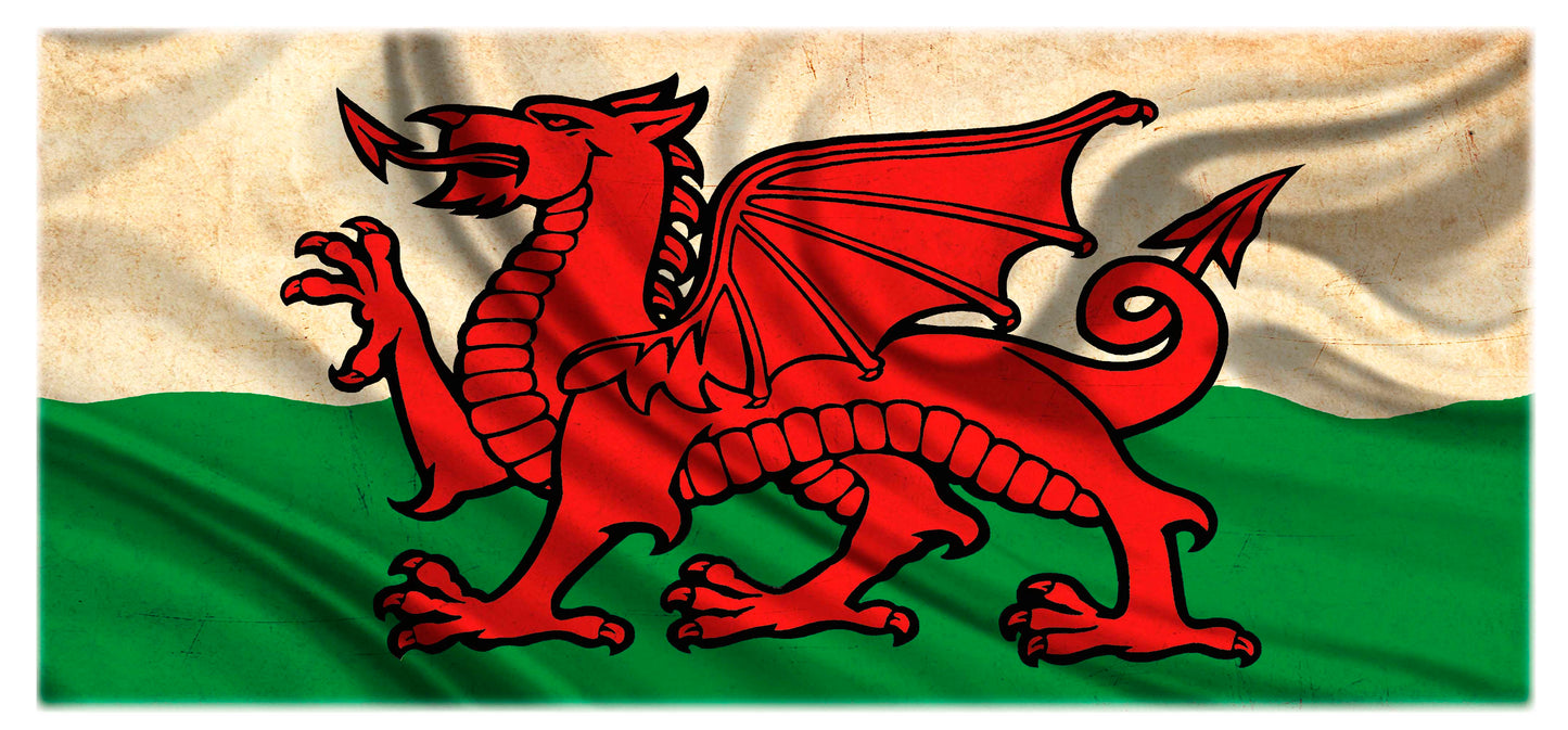 0404 - Welsh Flag