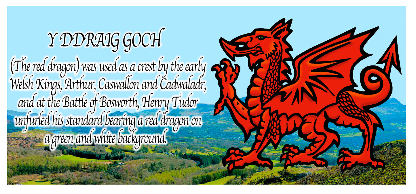 0413 - Y Ddraig Goch