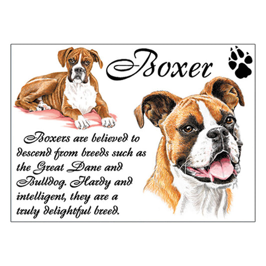 0525 - Boxer