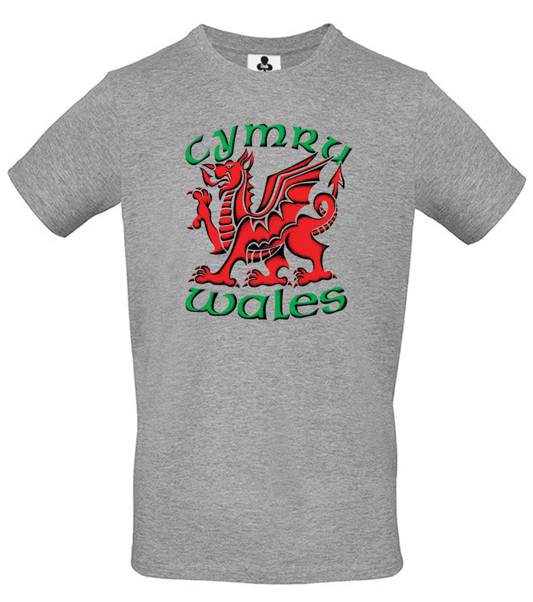 0121 - 3 Colour Dragon (Grey)