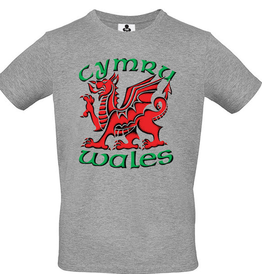 0109 - 3 Colour Dragon (Grey)