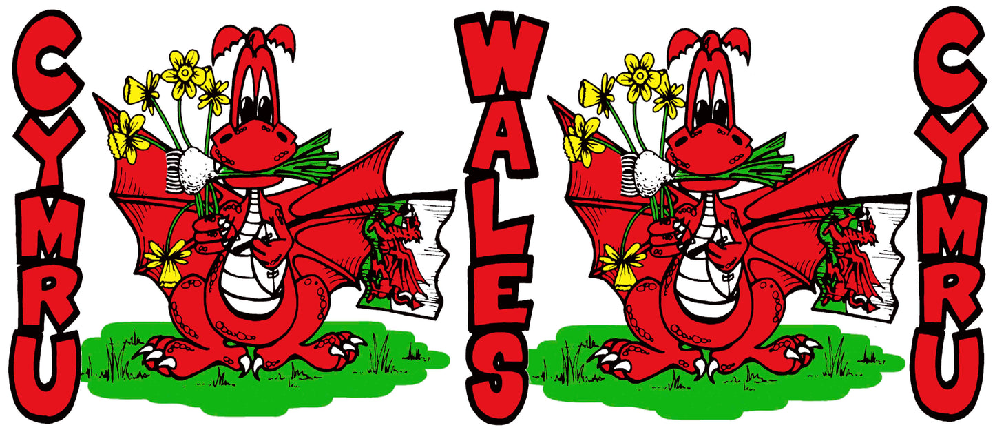 0421 - 4 Colour Dragon