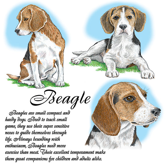 Beagle Coaster