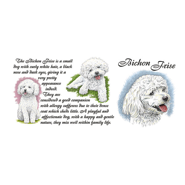 0435 - Bichon Frise