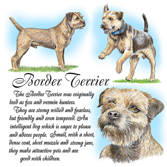 Border Terrier Coaster