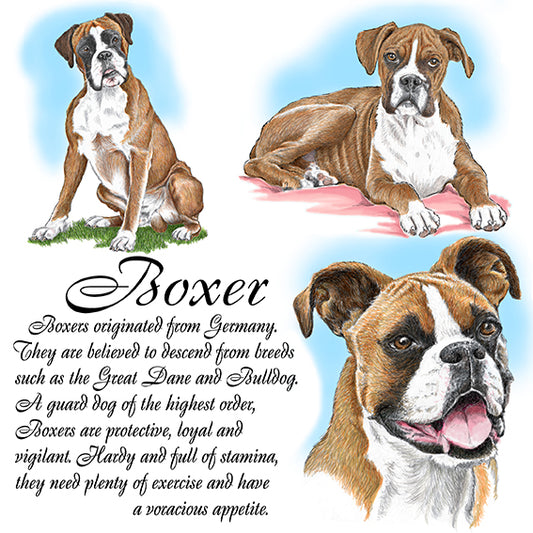 Boxer Coaster