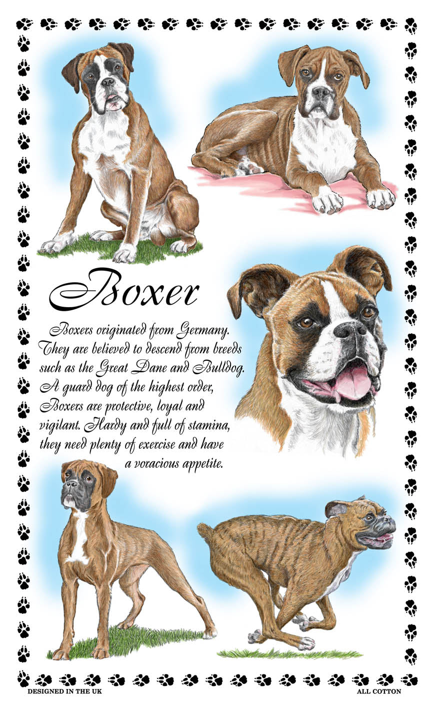 0373 - Boxer Tea Towel