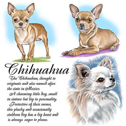 Chihuahua Coaster