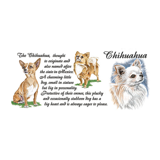 0439 - Chihuahua