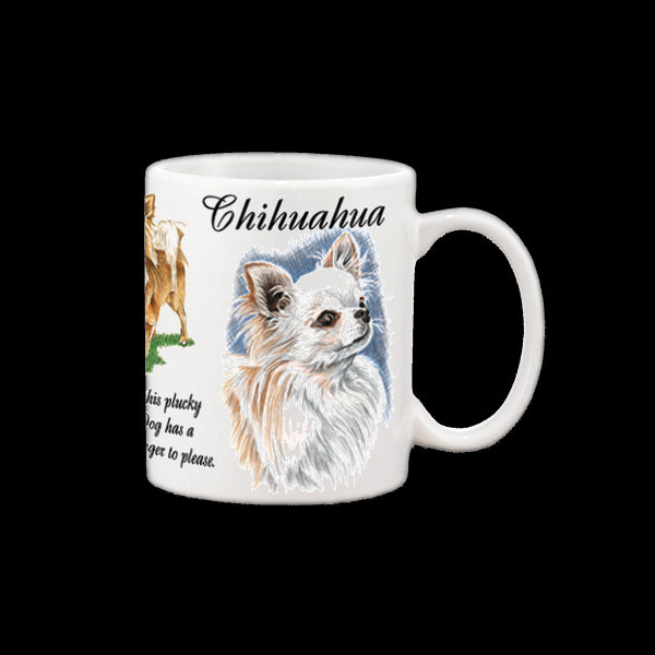 0439 - Chihuahua