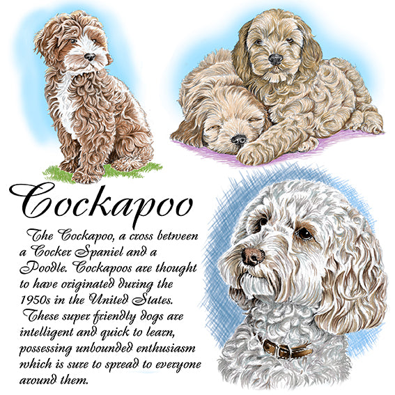 Cockapoo Coaster