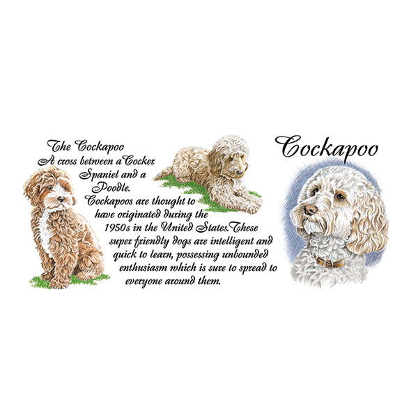 0440 - Cockapoo
