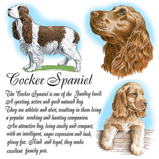 Cocker Spaniel Coaster