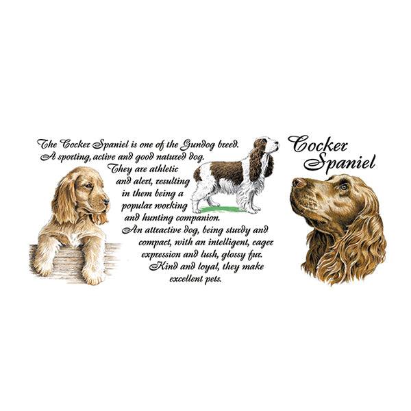 0441 - Cocker Spaniel
