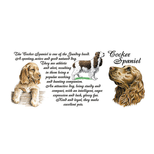 0441 - Cocker Spaniel