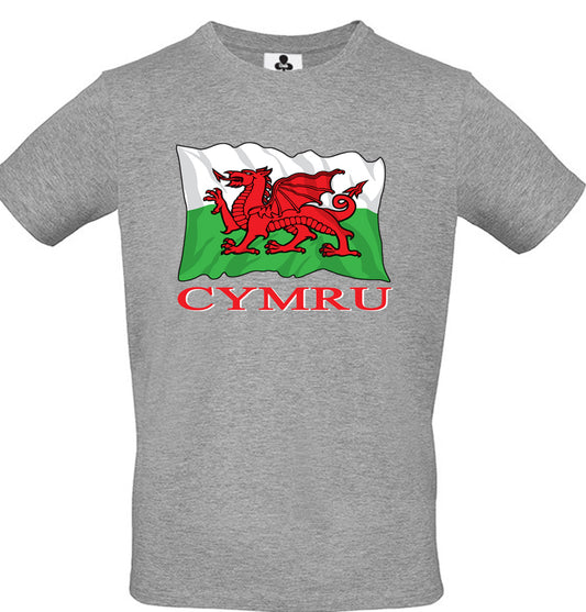 0104 - Cymru Flag (Grey)