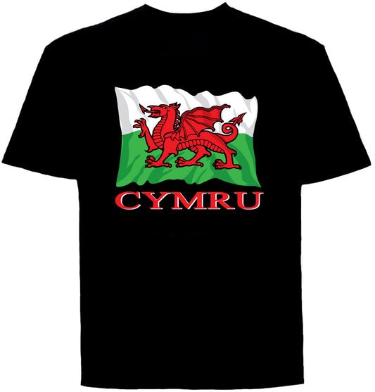 0104 - Cymru Flag (Black)