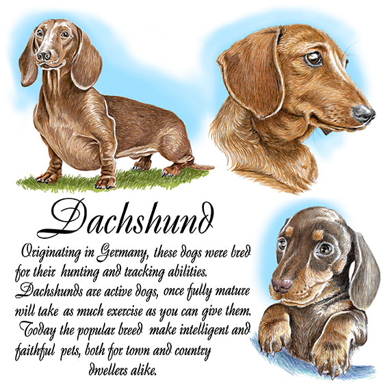 Dachshund Coaster