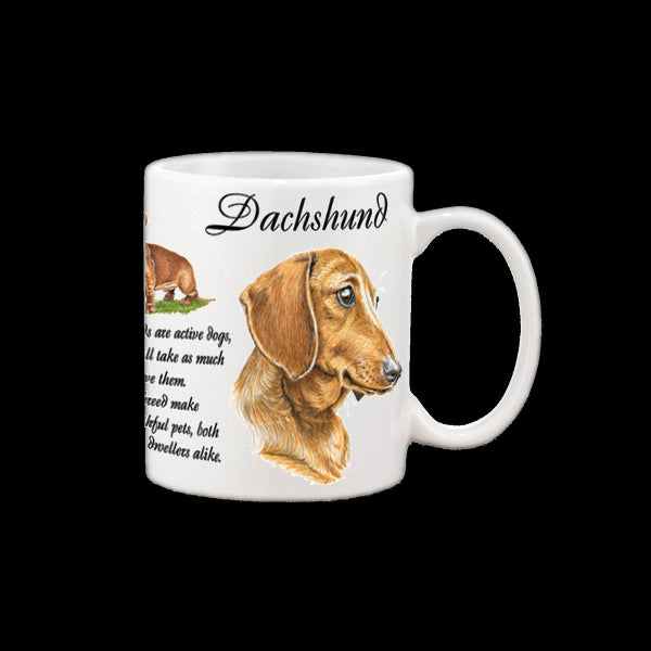 0442 - Dachshund