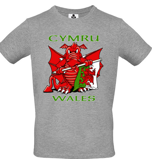 0102 - Dragon Flag (Grey)