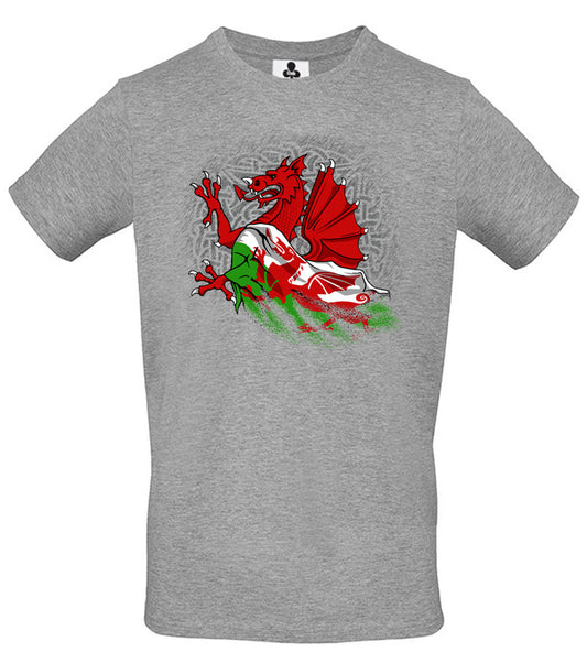 0117 - Dragon Fade (Grey)